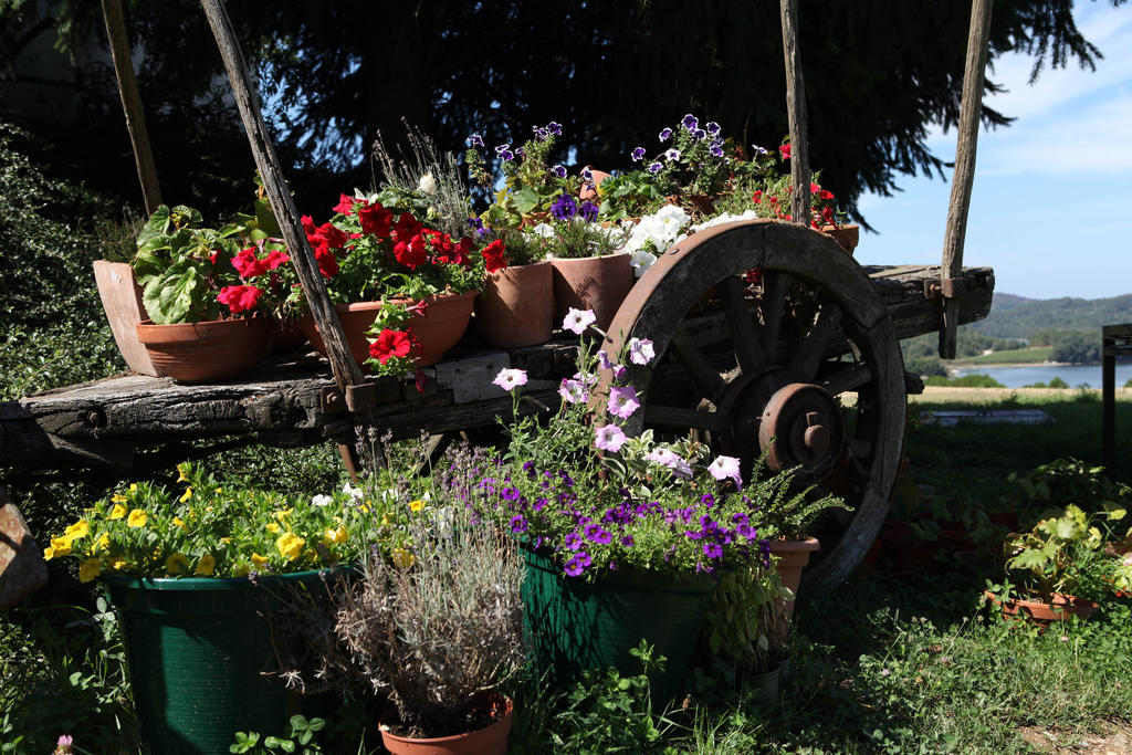 Casa De Darei Pension Mangualde Buitenkant foto